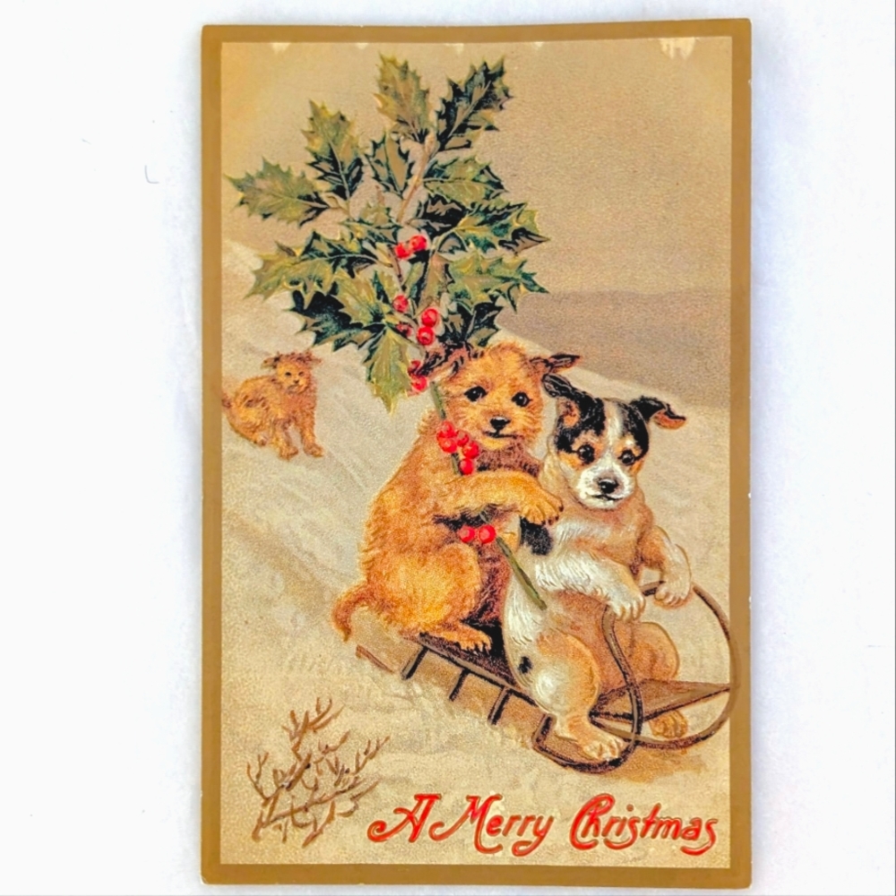 Vintage-Style Three Dogs, Sledding & Holly Christmas Postcard – B. Shackman
